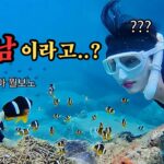 아직도 나트랑에서 호캉스만?😎 맛집+마사지+호핑투어 코스 전격 공개✨