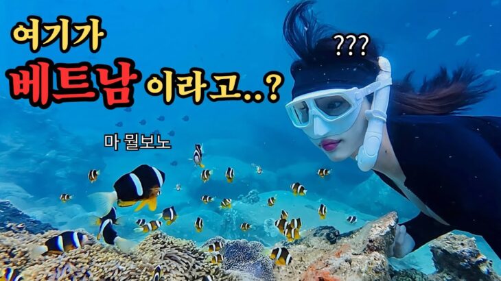 아직도 나트랑에서 호캉스만?😎 맛집+마사지+호핑투어 코스 전격 공개✨