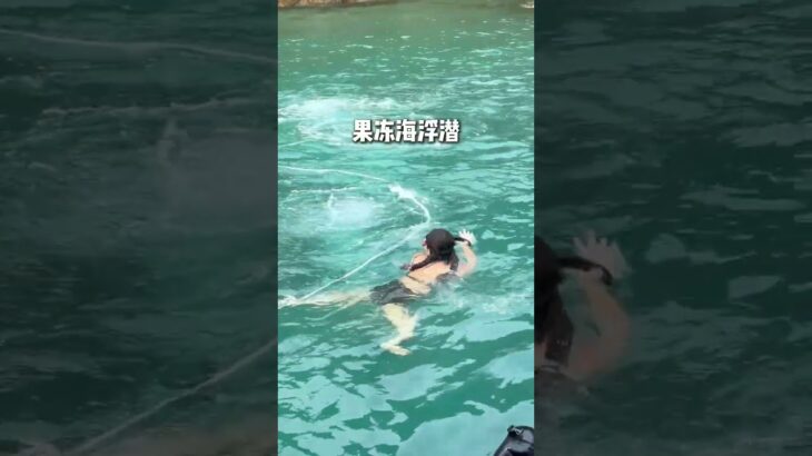 第一次去越南🇻🇳你会选芽庄还是美奈？#越南旅行#芽庄#美奈