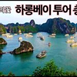 하롱베이 투어의 종류와 당일 프리미엄 투어 리뷰-베트남 하노이 여행