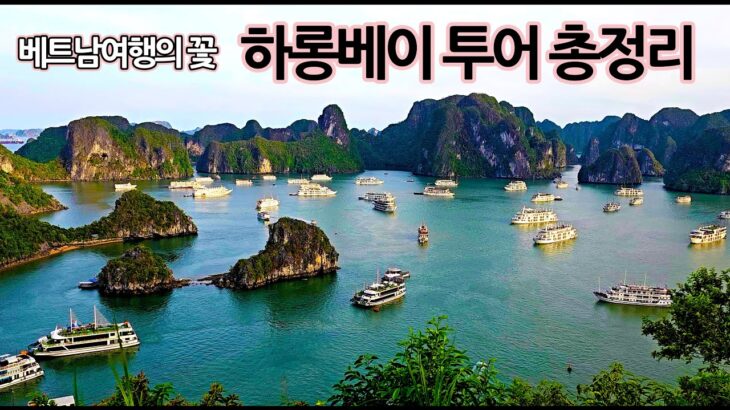 하롱베이 투어의 종류와 당일 프리미엄 투어 리뷰-베트남 하노이 여행