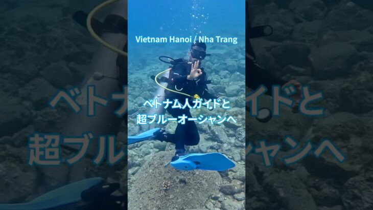 洞窟! ゴツゴツ岩! 塗り広げるモフモフ! ベトナム人ガイドと行くニャチャンダイビング