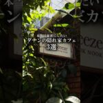 【本当は秘密にしたい！ダナンの隠れ家カフェ３選】#ベトナム旅行 #ダナン旅行