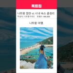나트랑 깜란 vs 시내 숙소 총정리
