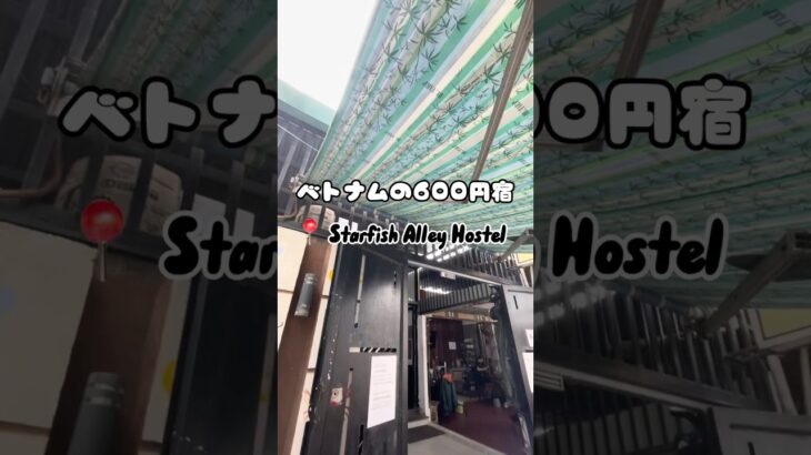 世界一周1カ国目・ベトナム ダナン宿 #世界一周 #旅　#旅行 #バックパッカー #ベトナム #ダナン #オタク #vietnam #travel