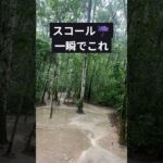 ホーチミン一人旅・3日目～ホーチミン/ブンタウ/クチ/ローカルフード