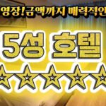 다낭 중심!! 미케비치 바로앞에 있는 5성호텔 팜반동,안트엉 이동하기에 너무좋아요~  #다낭 #다낭호텔