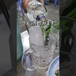 🍺ビール缶が山に!? ホーチミン5区ローカル居酒屋で乾杯ざんまい🍻 #shorts