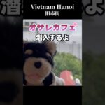 ハノイ旧市街のオサレカフェに潜入 #ベトナム #ハノイ #エッグコーヒー #Hidden Gem Cafe Hanoi