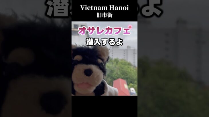 ハノイ旧市街のオサレカフェに潜入 #ベトナム #ハノイ #エッグコーヒー #Hidden Gem Cafe Hanoi