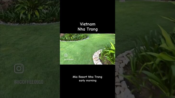 【ベトナム ニャチャン】５つ星ホテルMia Resort Nha Trang  早朝散歩　過去旅 #trip #vietnam#resort#ニャチャン#リゾート＃ミアリゾートニャチャン #旅行