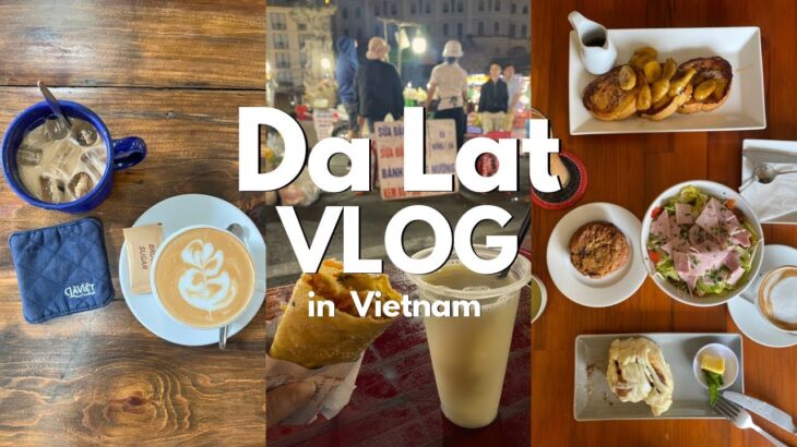 【ダラットVlog🇻🇳】ホーチミンから飛行機で1時間✈️ベトナムの避暑地2泊3日|ナイトマーケット|カフェ巡り