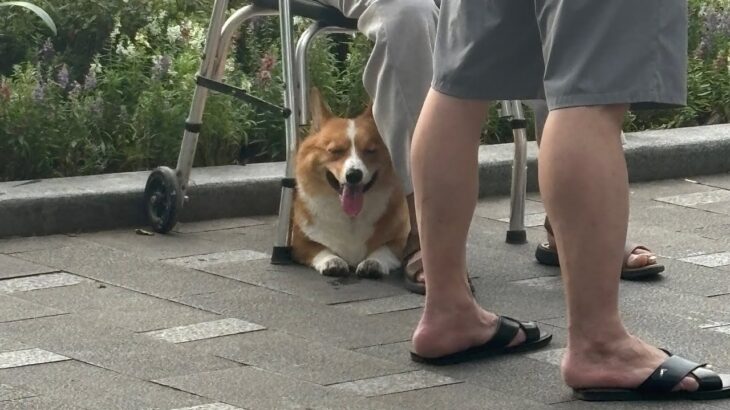 ﾄﾞｷﾄﾞｷッo(≧▽≦)o .｡.:*☆初めてのひとりたび📍 Hanoi , VietnamDay4-5