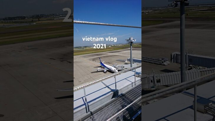 まさかのベトナム一人旅。バインミーが美味しかった。#travelvlog #vietnam #travel #ホーチミン旅行