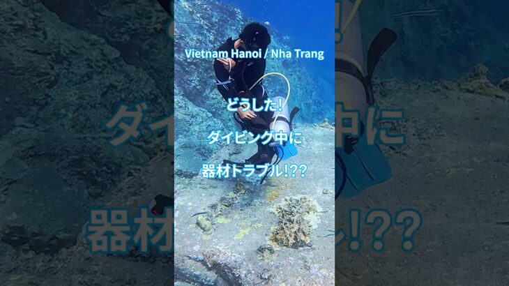 緊急事態!? リアル器材交換! ベトナム人ガイドと行くニャチャンダイビング ムン島 & モット島