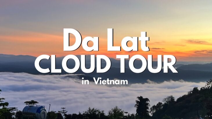 【ベトナム🇻🇳ダラット】奇跡の絶景！雲海ツアーが最高すぎた☁️✨