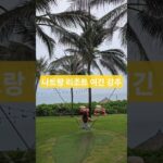 베트남 나트랑여행 나트랑 모벤픽 리조트 #베트남 #나트랑 #나트랑리조트 #모벤픽 #나트랑모벤픽 #모벤픽오션뷰 #모벤픽리조트 #vetnam #natrang #movenpick