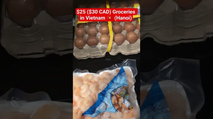 $25 groceries in Hanoi Vietnam ($30 Canadian) #vietnam #hanoi #budgettravel