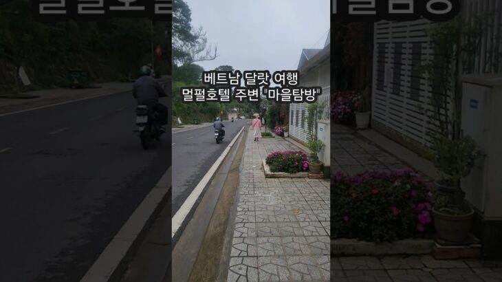 베트남 달랏여행 멀펄호텔 주변 “로컬마을 둘러보기” 추천 #나트랑달랏패키지여행(3일차) #shorts #베트남여행 #달랏여행 #달랏마을탐방 # #travel