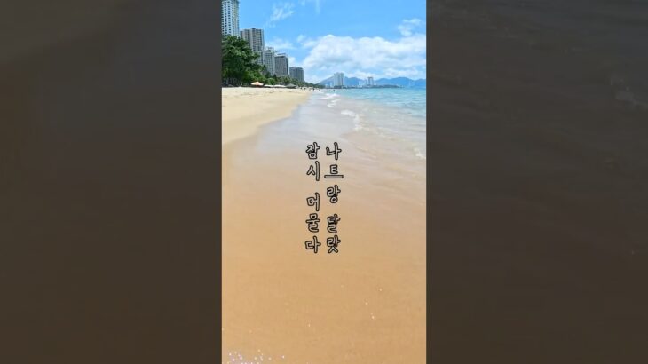 인스타360으로 담은 달랏 & 나트랑, 짧지만 깊은 여운 📸 Vietnam in Motion: Nha Trang & Dalat Captured in 360