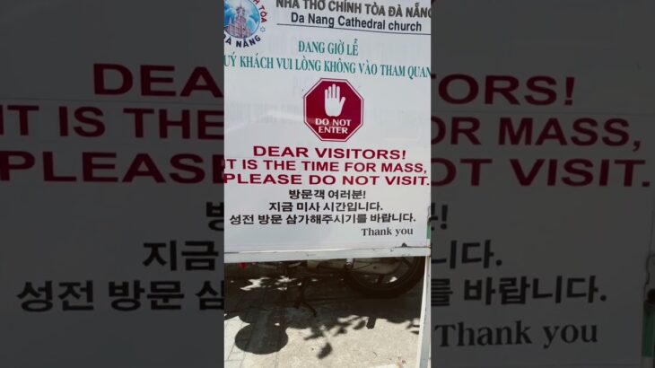 #60代からの韓国語 #travel #ベトナム #ダナン旅行 #살아있는일본어 #베트남여행