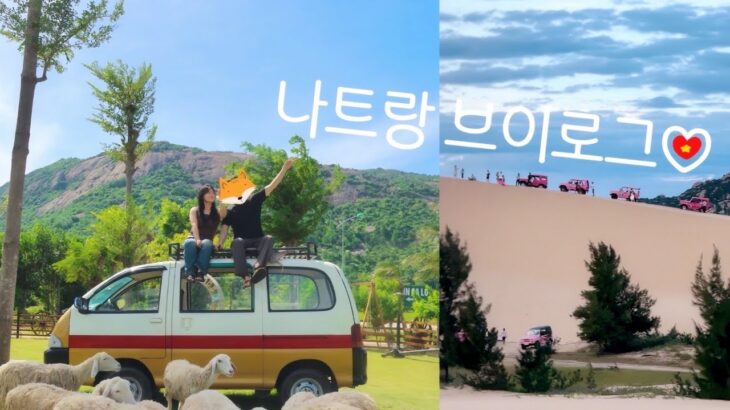 Vietnam 🇻🇳 무이네보다 가까운 판랑사막 선라이즈 투어🏜️ 이 투어는 꼭 해봐야 해❕분명 밤을 샜는데 힐링 받은 여행◡̈⋆*