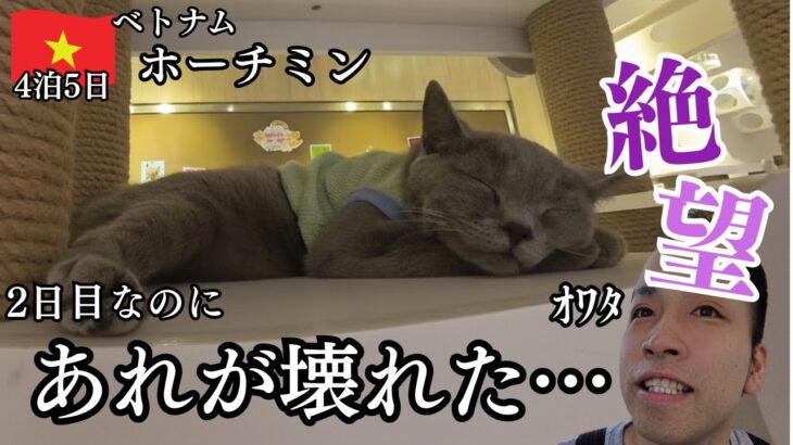 【ホーチミン】かわいい猫に囲まれて幸せな時間…のはずだった
