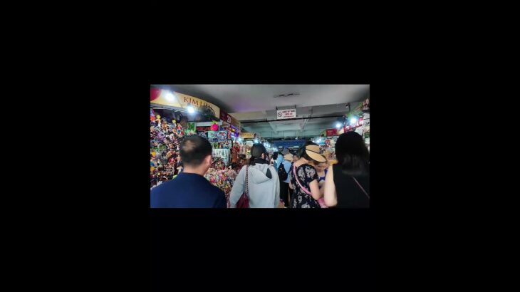 ハン市場の行ってみた#ハン市場 #ダナン旅行 #ベトナム旅行 #ダナン観光 #ダナングルメ #ローカル体験 #ベトナム雑貨 #ダナンお土産