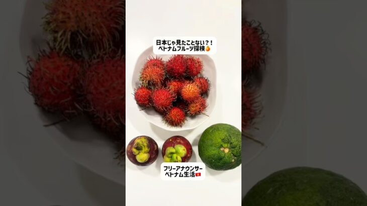 日本じゃ見たことない？！ベトナムフルーツ探検🍎#ホーチミン #ベトナム#ベトナム生活#海外生活 #ベトナム旅行#ベトナム観光#フリーアナウンサー#駐在妻 #駐在生活