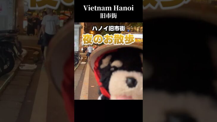 ハノイ旧市街付近の夜の雰囲気を紹介 #ベトナム #ハノイ #トレインストリート