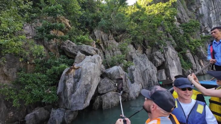 ベトナム・ハノイにあるハロン湾に行ってきた。 visited halong bay in Hanoi