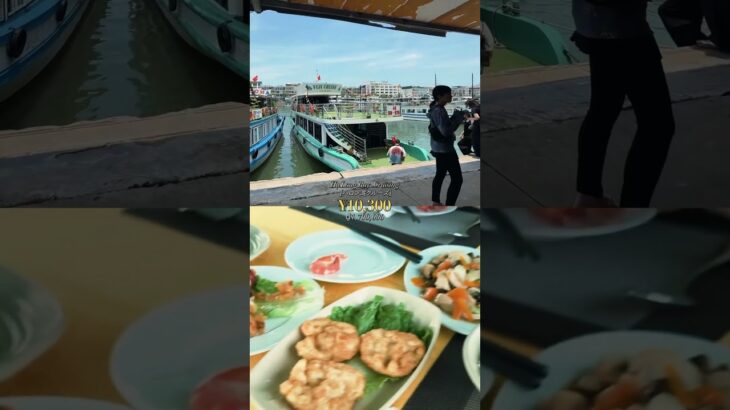 ベトナム ハノイ旅行での出費まとめ💸🇻🇳(お土産は除く) #vlog #海外旅行 #ベトナム旅行