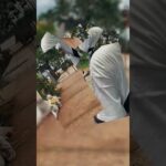 ✈️  ベトナム・ホーチミン旅 vol.1 ✨