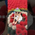 欲張りハノイ2日間🇻🇳 #ベトナム #海外旅行 #女子旅 #ハノイ