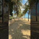 Calm Morning by the Sea 🌊 | Nha Trang, Vietnam | 4K Ambient Short #stillwalks #nhatrang #vietnam
