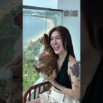 KHÁCH SẠN NHA TRANG CHO MANG THÚ CƯNG | Nha Trang Hotel