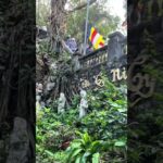 【五行山(Marble mountain)】📍ダナン、ベトナム🇻🇳ダナン旅行でははずせない!神秘的なスポット!#ダナン #ベトナム #五行山 #マーブルマウンテン