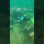 Vietnam Hoi An Sea / ホイアンの海 / #シュノーケリング #snorkeling  #danang #ダナン #chamisland #Vietnam #ベトナム #リゾート