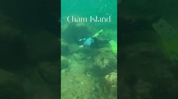 Vietnam Hoi An Sea / ホイアンの海 / #シュノーケリング #snorkeling  #danang #ダナン #chamisland #Vietnam #ベトナム #リゾート