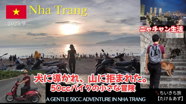 【ニャチャンVlog】犬に導かれ、山に拒まれた。50ccバイクの小さな冒険
