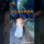 芽庄 – 不可错过的海岛天堂！ #compasstourist #越南旅行 #shorts