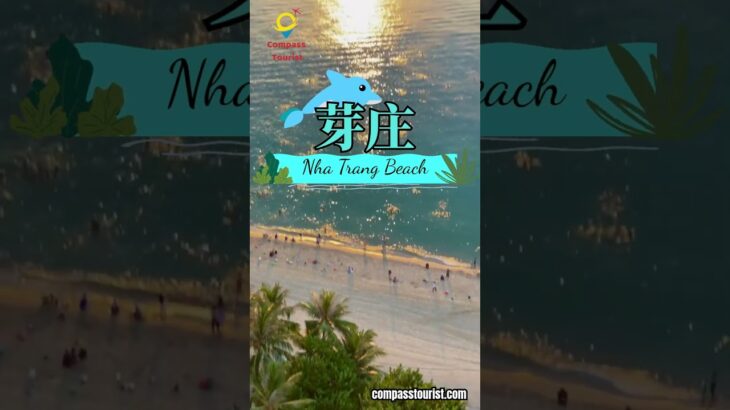 探索芽庄海滩  #越南旅行 #compasstourist #travel #shorts