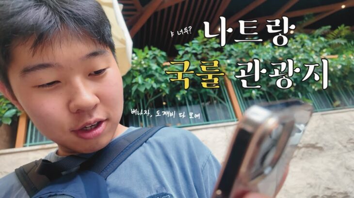 나트랑 필수 시내 관광지 [베트남 ep2]