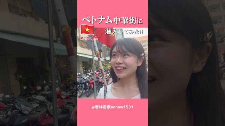 【ベトナム旅行】ホーチミンの中華街「チョロン市場」に潜入したら…⁉️【一人旅】