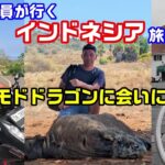 コモドドラゴンに会いたくてインドネシア旅行 / 現場作業員の休日