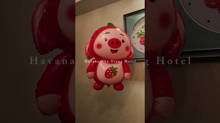🇻🇳ニャチャンひとり旅 旅の間わたしに癒しを与えてくれたバルーン #ベトナム #ニャチャン #ひとり旅