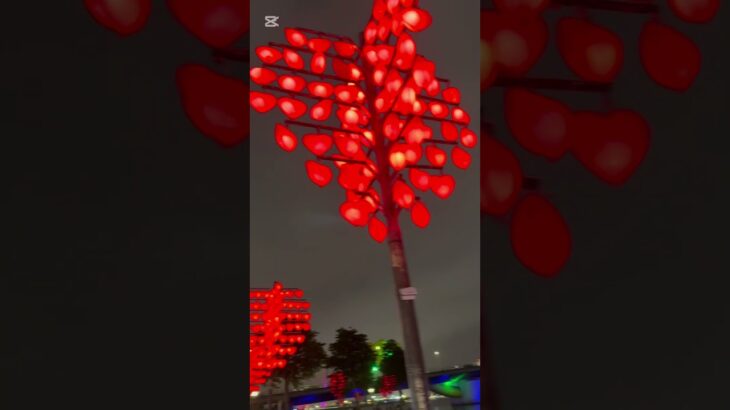 #ベトナム#ダナン#ベトナム旅行#vietnam#trip#travel