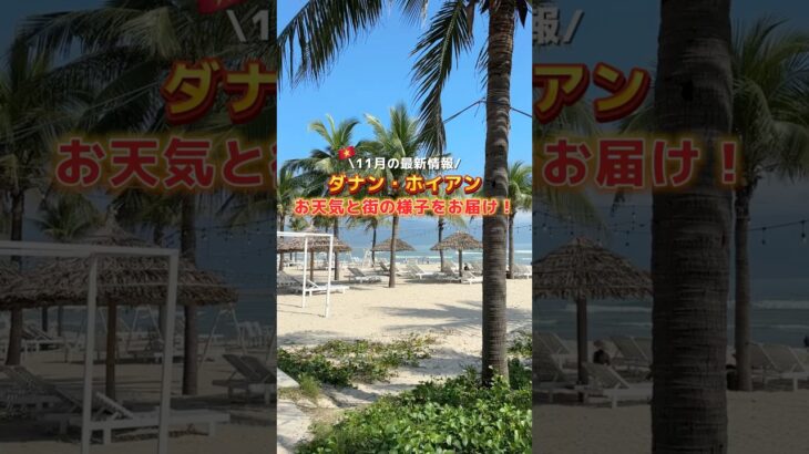 【11月ダナン・ホイアン（11月11日時点）】街の今と天気の様子をチェック！☀️🇻🇳