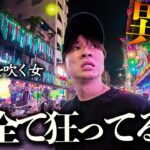 物価激安ホーチミンの現実…2025年、円安でも“コスパ最強”のベトナム1万円旅🇻🇳