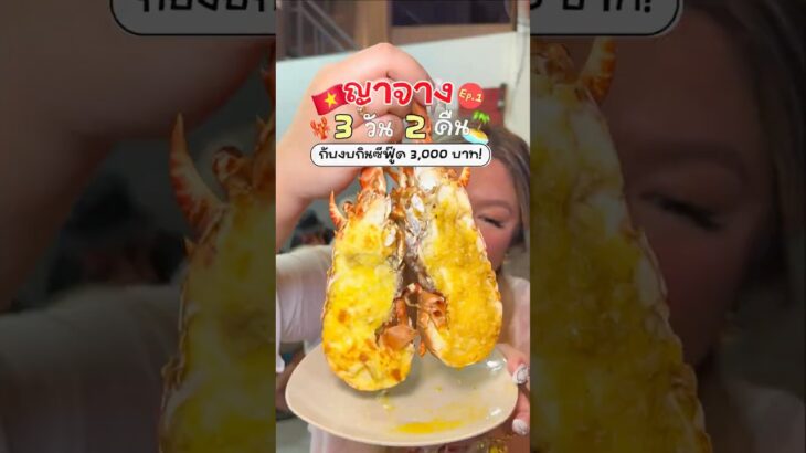เที่ยวปลายปีที่ญาจาง 3 วัน 2 คืน กับภาระกิจตะลุยกินซีฟู๊ดในงบ 3,xxx 🇻🇳🦞🎡 #เซ้นต์พาไป #nhatrang